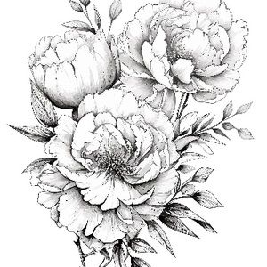 Meet your Posher, Ashley and steve